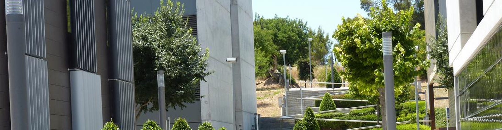 IxisSocialGest - Área de menores