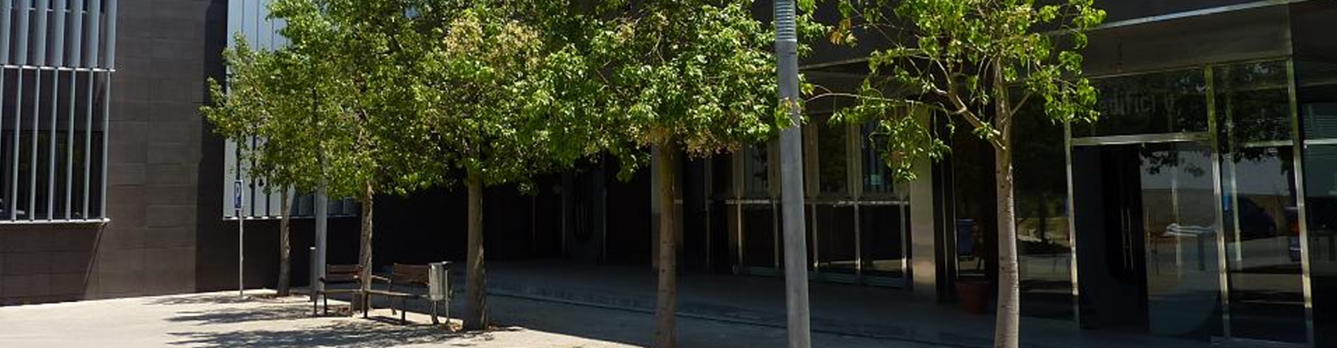 IxisSocialGest - Área de personas con discapacidad